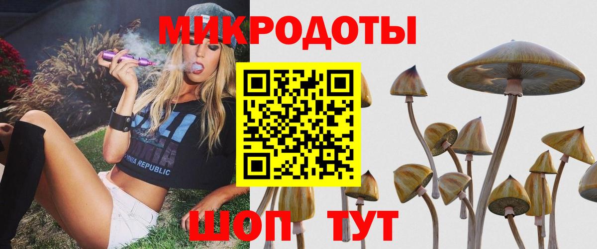 Нефтекумск  Псилоцибиновые грибы MAGIC MUSHROOMS  Вход с VPN  купить  цена  Псилоцибиновые грибы Cubensis 